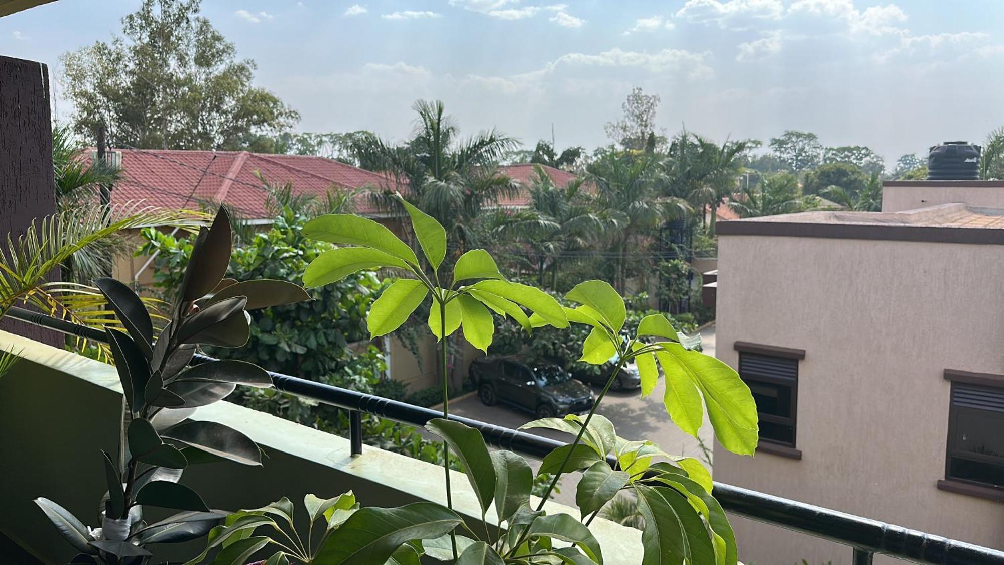 Elena & Kimberly Apartment Gulu ภายนอก รูปภาพ